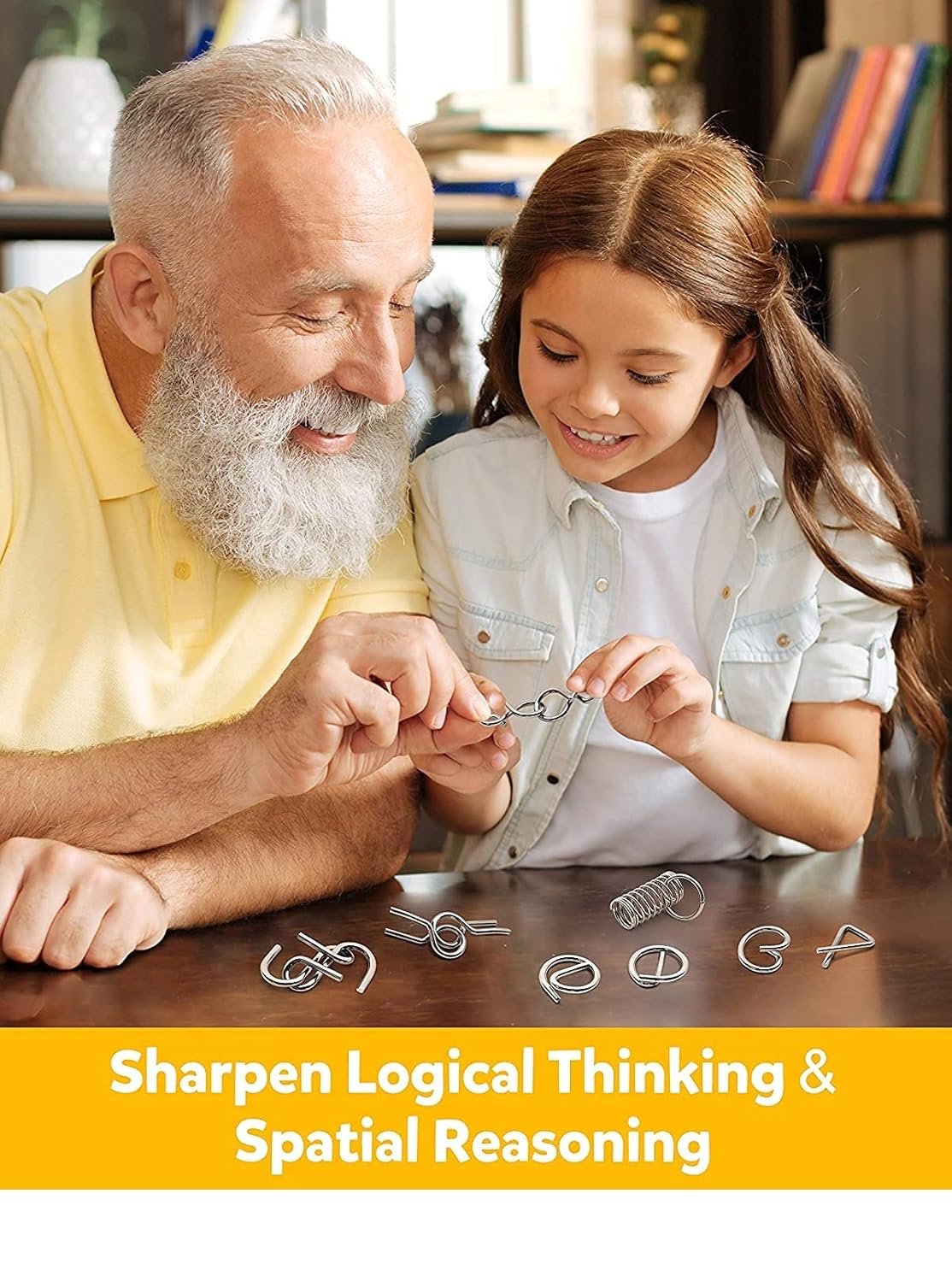 Brain Twist Metal Puzzle IQ Test