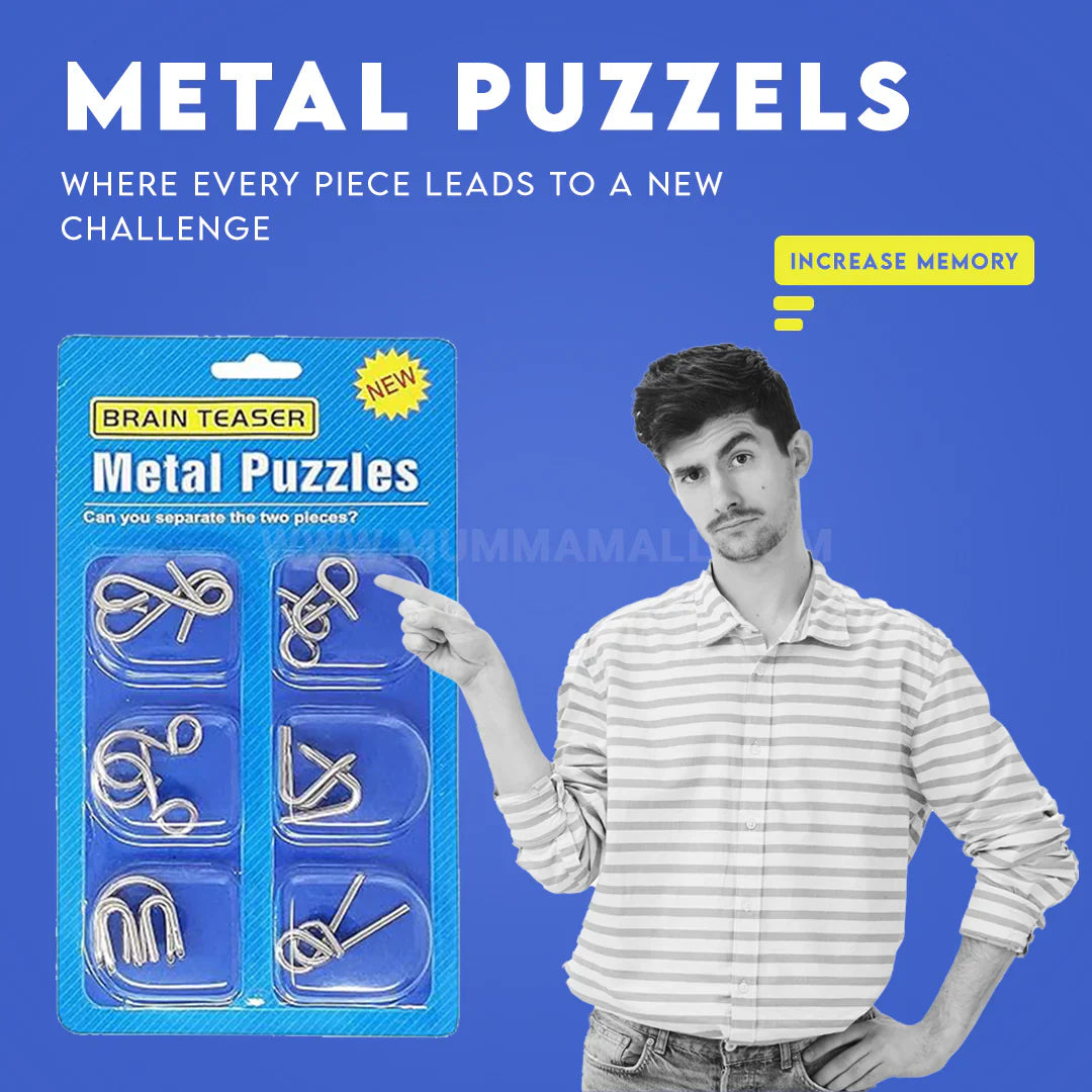 Brain Twist Metal Puzzle IQ Test